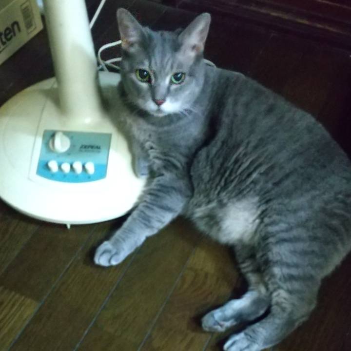 230d449c 717b 41a6 a50d 0e39d445e9b2 1601736092277