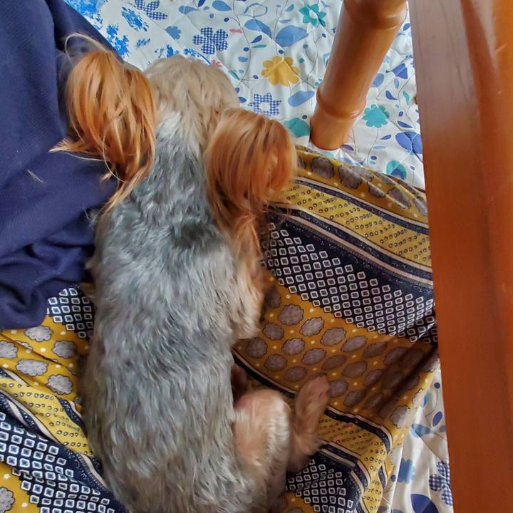 230d6e44 2bf3 4030 a68b 1f4a1ccf84eb 1595314322731