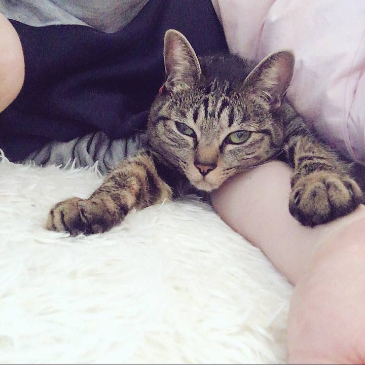 230dc4e7 b057 4324 a684 da8876e556cc 1513655079757