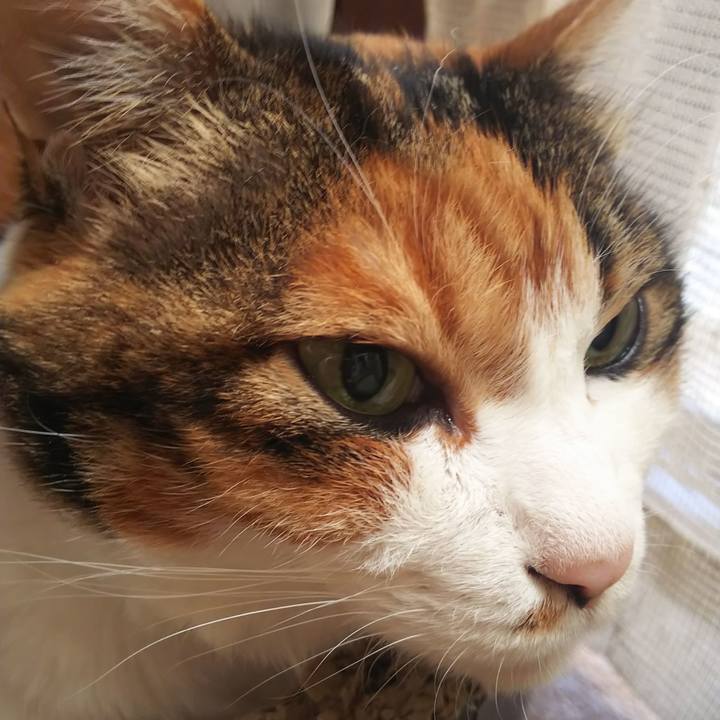 230dd602 1c84 416c b1e8 ebe69e27f38c 1572844941129