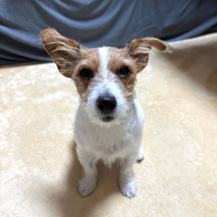 230e1534 05e0 41e9 a239 1bacb522b6cd 1761514268658