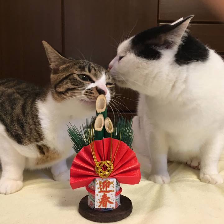 230e88f5 1968 409d b160 080f706ac483 1512295593605