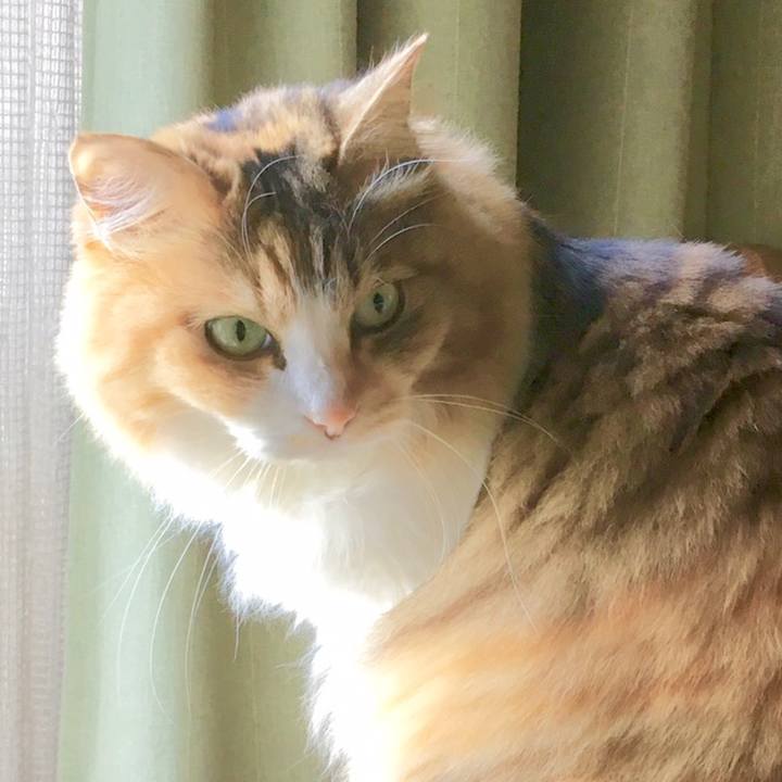 230eb34f 3f5e 4621 a84d bfa2acde7524 1559272391829