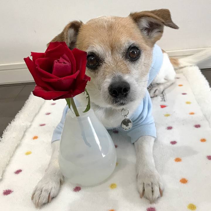 230ebc1a 501f 43f7 8d69 648dd33182e2 1646389227155