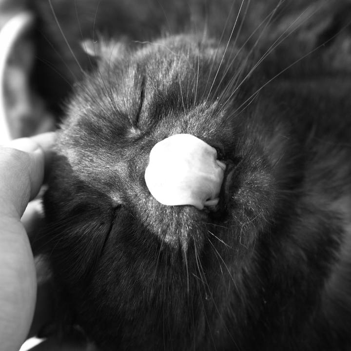 230ec2b7 9fa3 46ea 8411 903e58fab7c8 1616856358519