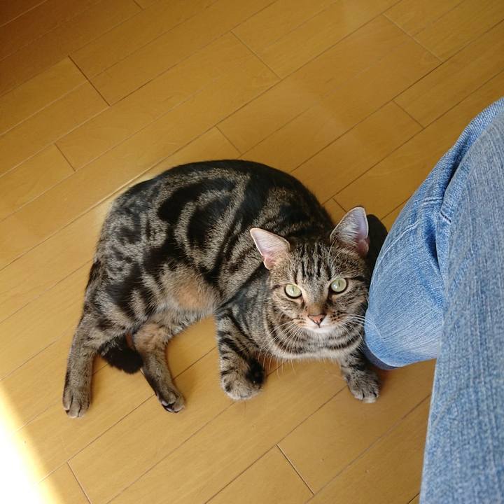 230ec652 28c0 41c4 87eb fb35b393c546 1573529614708