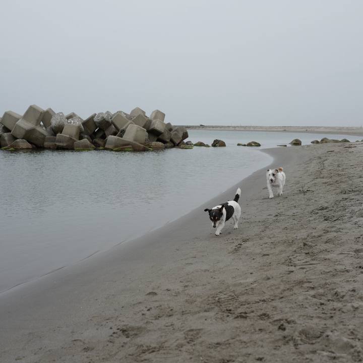 230ed17f 4931 41b3 9a76 d419340b2302 1556079531558