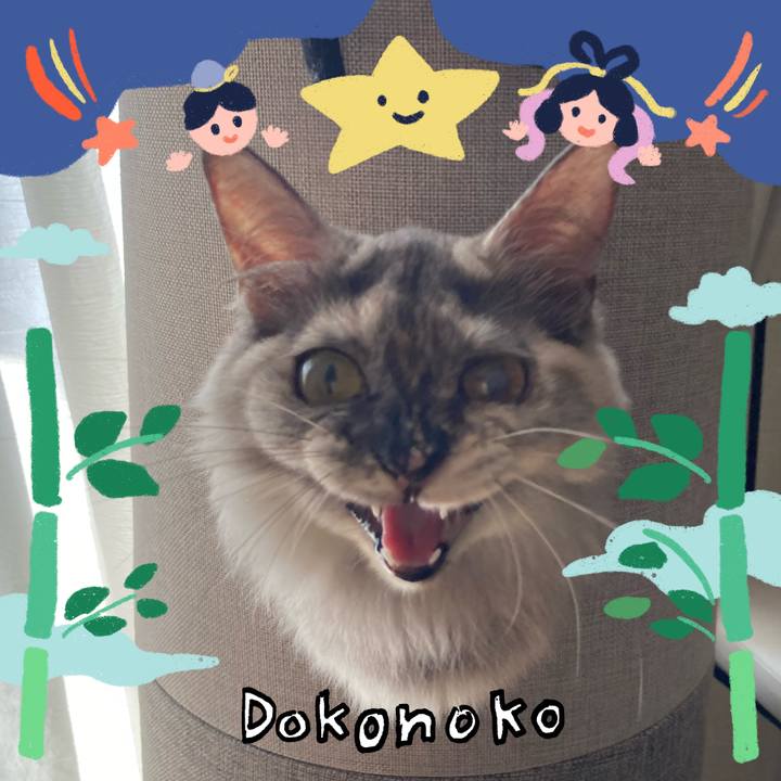 230ee4db ae30 4c15 b92a 3310660ec883 1720756386401