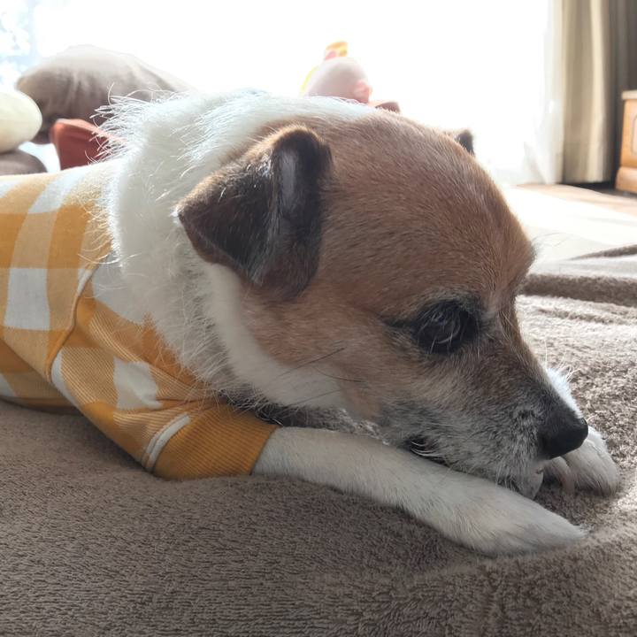 230f16eb 997e 4bea a806 1d5754142127 1574205937044