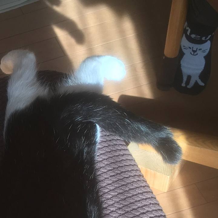 230f267c 0d3e 4481 a697 a667d255b68a 1509880548308