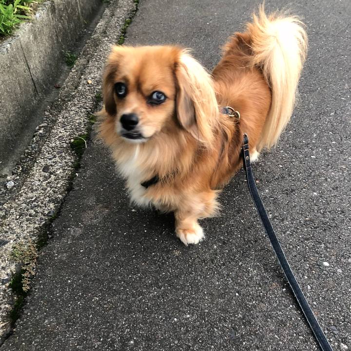 230f8371 0005 49af 8e7e 3169119828e9 1538083259657