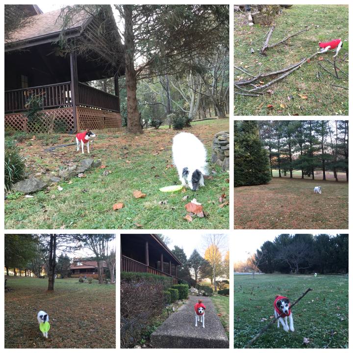 230f91aa 713c 4be4 b29f e8b3adb375d8 1511823344009