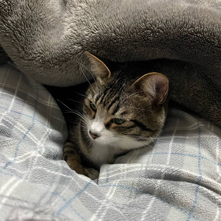 230f9370 323e 40d6 a693 3f4a08874a1c 1772019962721