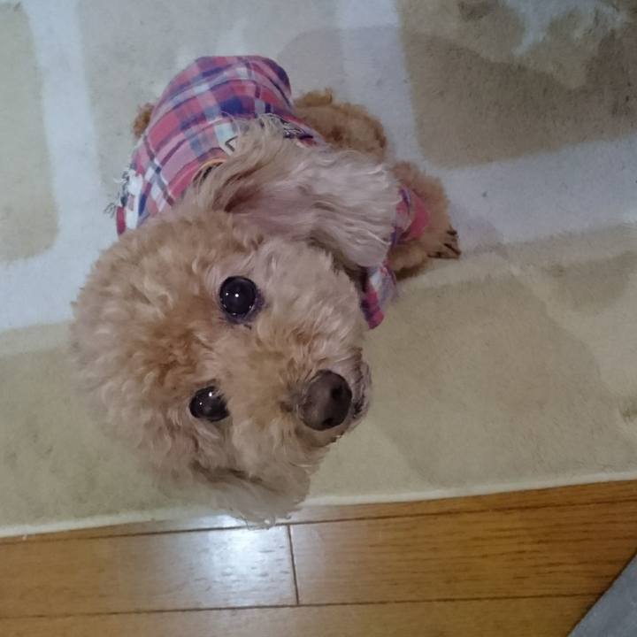 230fa132 7384 44ec b8a1 1d228aab1309 1508073126183