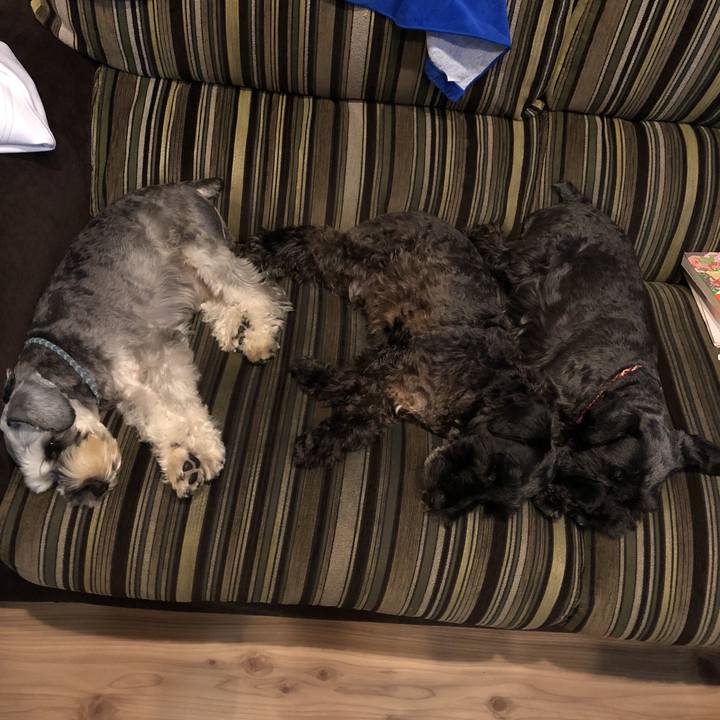 230fab11 4464 4555 b6cc 319375c38c64 1538826909052