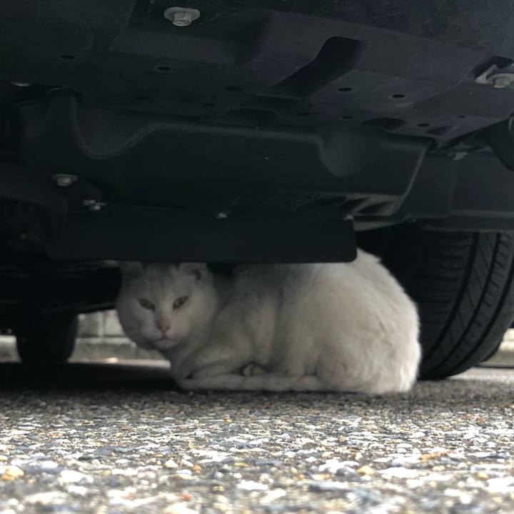 230fd139 80cd 4d5b ba2a 0134c6e690c6 1633431104345