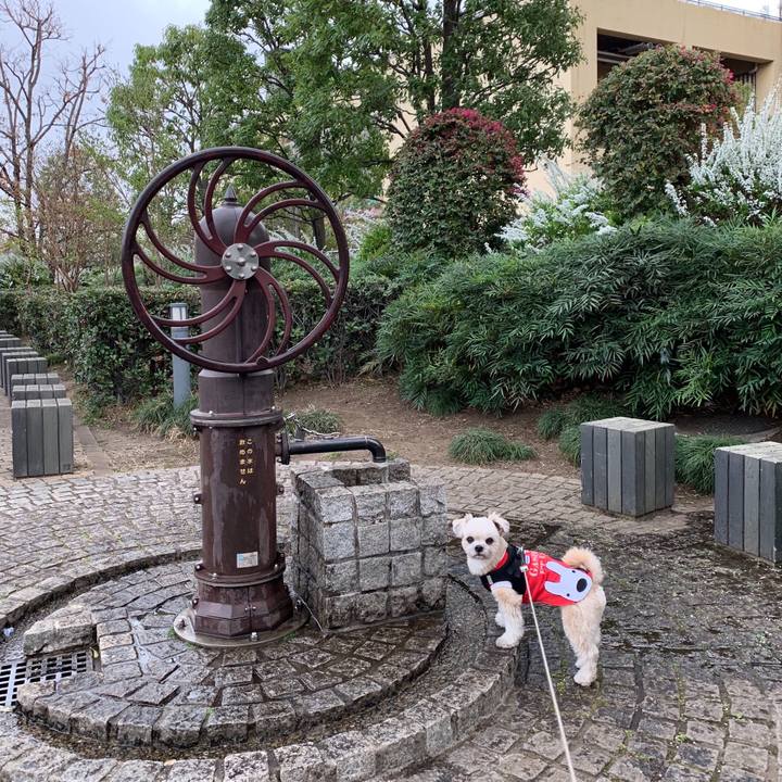 230fe63e 26b7 4894 91c9 3a70e643e5f0 1553780572981