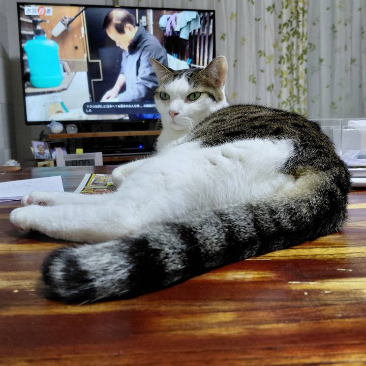 230ff663 b114 4991 8776 7669738490cd 1774868621481