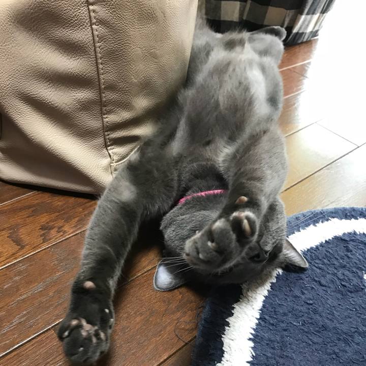 230ffefd 3c27 45a3 a763 50cac1a8c85e 1529890421992