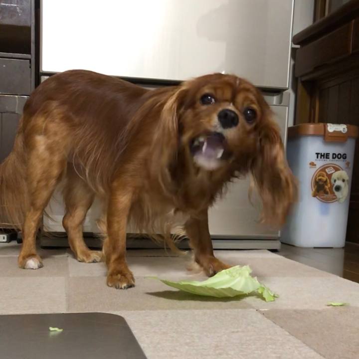 23100e96 e3a1 46c0 a8e1 5d3912eb6364 1571320298998