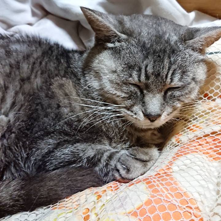 231016e5 588e 4795 947c b5cedce3f131 1569936554806