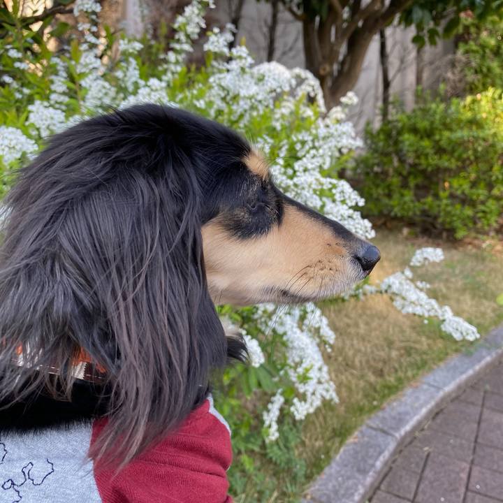 23102a6c e9aa 4d41 b992 c2e15efe25ff 1713060335805