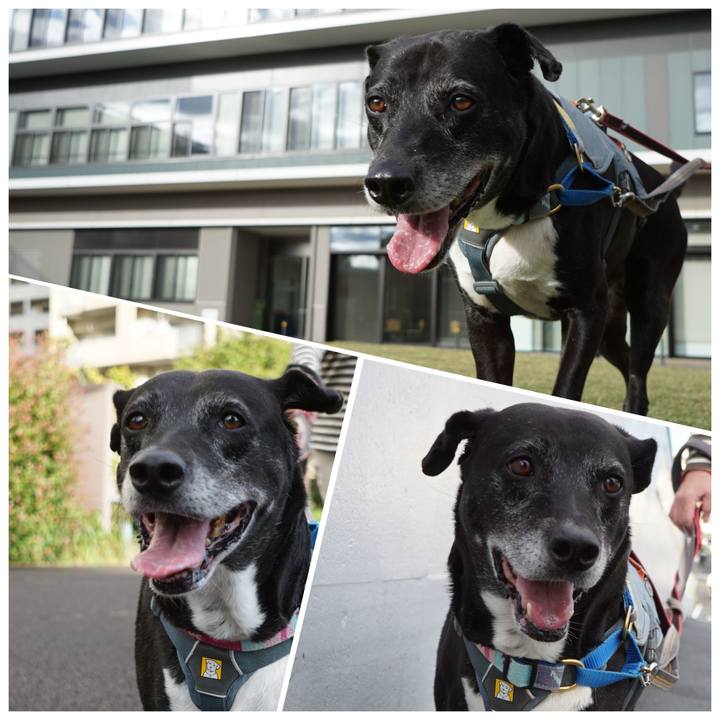 23102a7f dba6 483e 8bb4 eeb84691006d 1761525737278