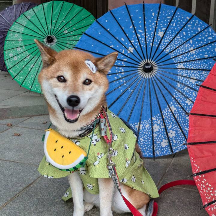 23103c01 d8cc 4549 bfd0 70f959ca16ef 1723067813515