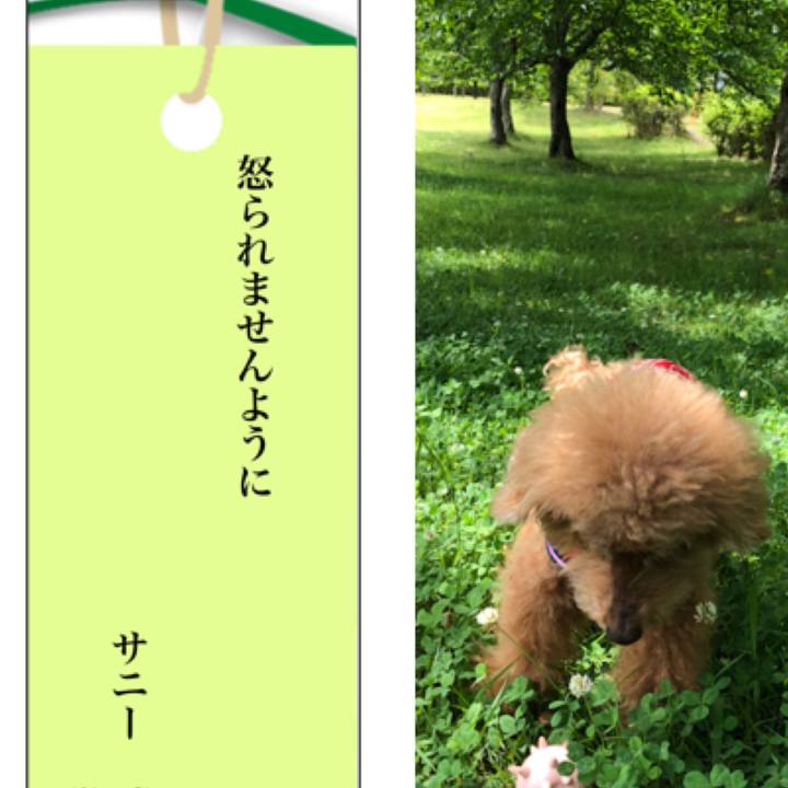 23105864 69ab 4433 be5c 9ae47551d910 1625611606583