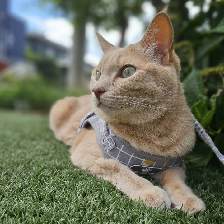 23109283 b15f 4a41 a7ed 739dbbfd3914 1694919336345