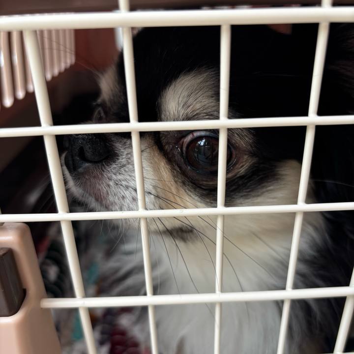 2310a653 d111 4485 812a c9f415c7ffae 1749919496820