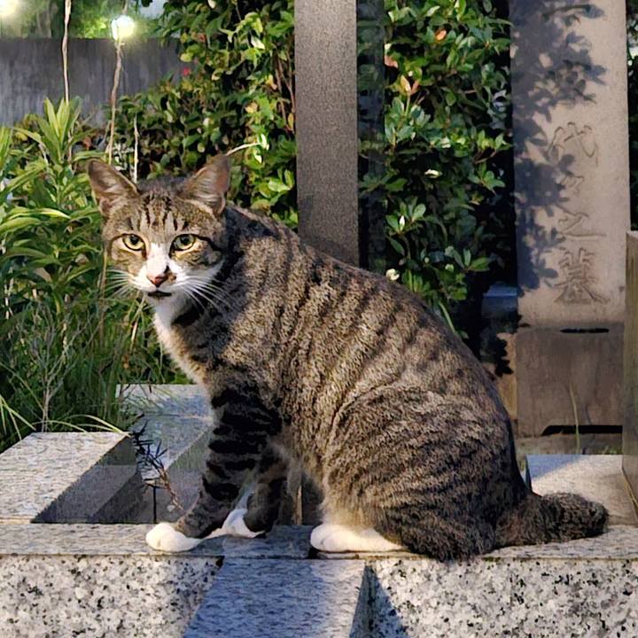 2310d634 158c 4102 bd11 73db15c0154b 1721216450940