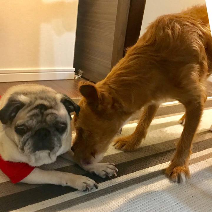 2310dbf7 b66d 476f b703 b894bba49fe1 1568764984106