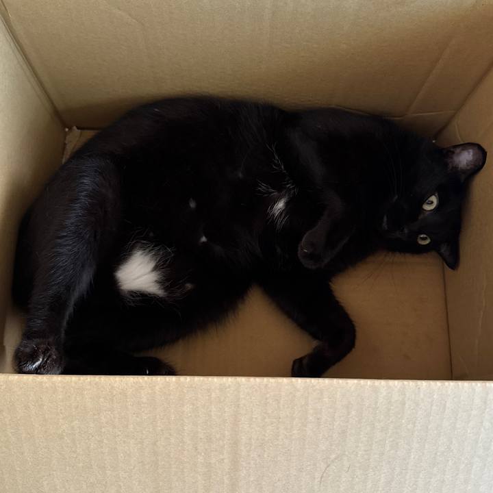 2310f4af 22c0 4ee9 8f0b 46cf2707f2a0 1755516887672