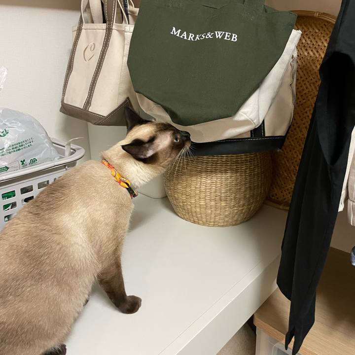 2310f87a 4ef9 43e1 ad12 d902d7c908f9 1725306190993