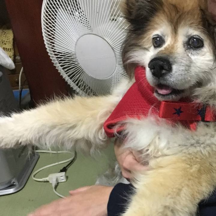 23113025 abbf 4ba0 9150 d4c31c0c4f3e 1593135199897