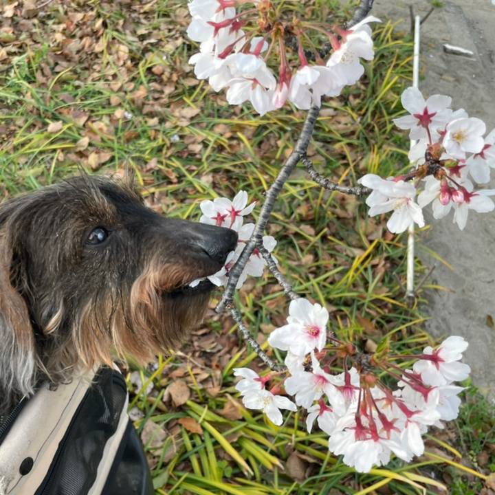 2311696d 25e5 4864 a485 25c14f5ce991 1649003142230