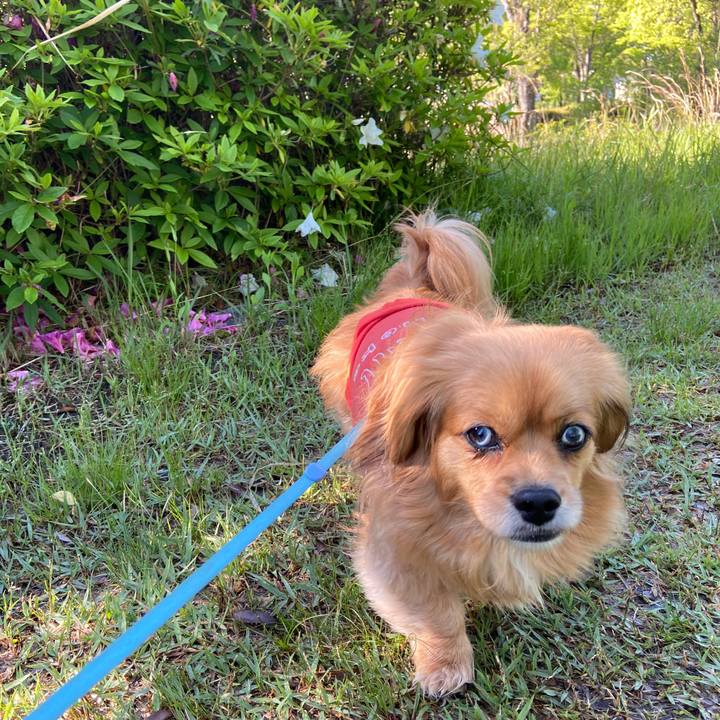 23117d32 93bb 4809 acd1 aa11f7872045 1620001564958