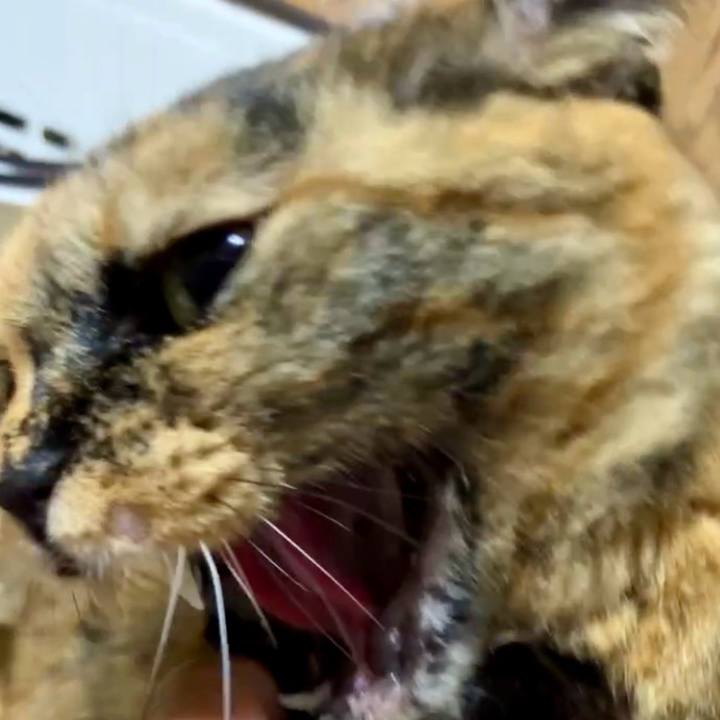 231184df aa34 4911 9a06 07d0d2265c28 1728764511446