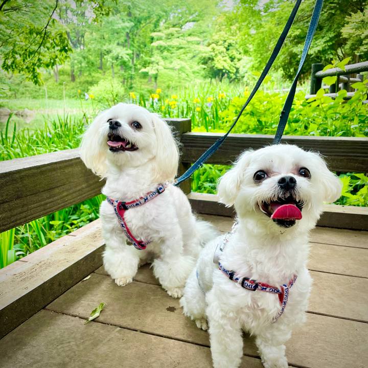 231197cb 4147 42cd 9a5b 0cd9fa99e090 1620466432751