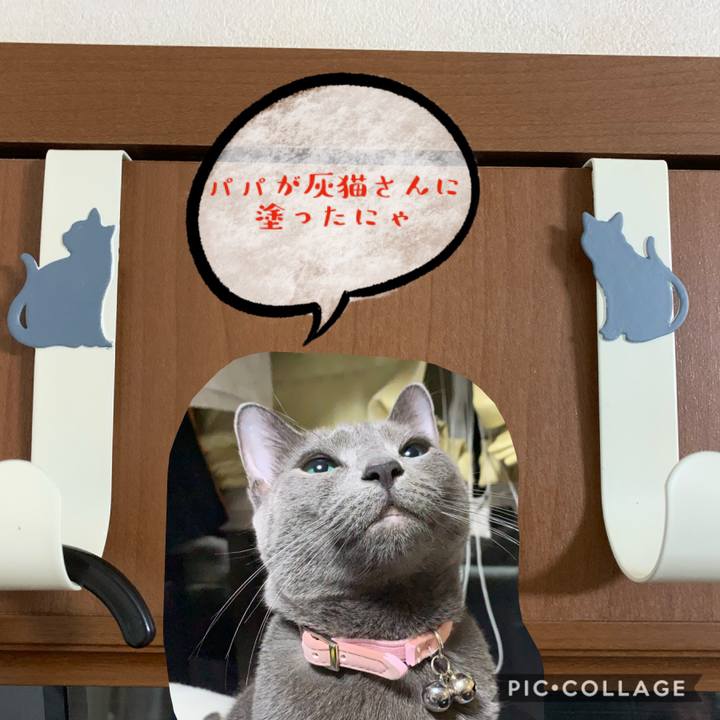 2311b056 f8ef 47a4 ad58 054c640ee517 1579345614745