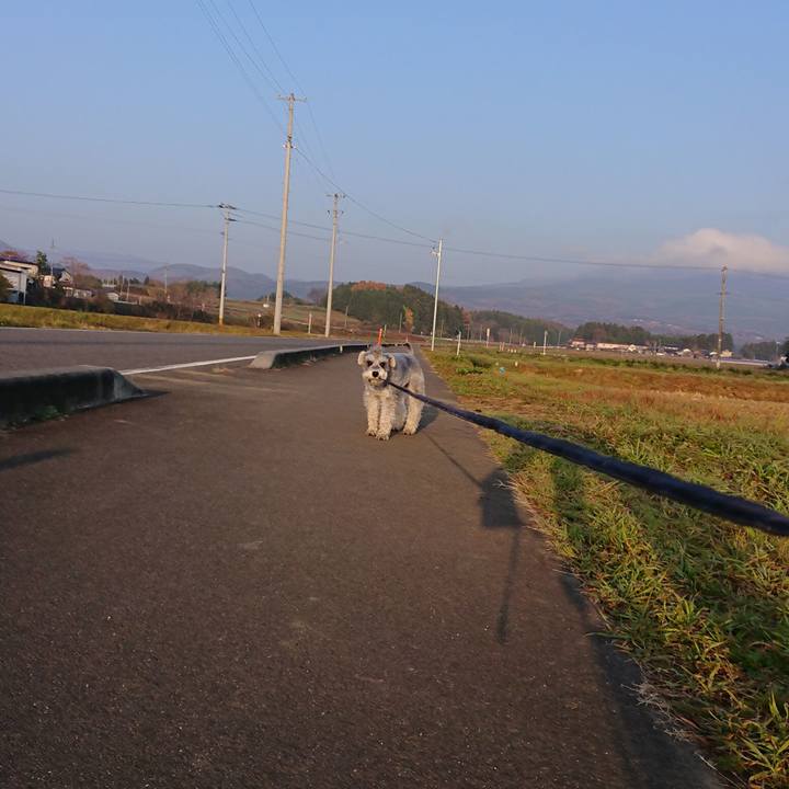 231211e8 fc65 429e aa04 e4f6f2fec863 1637364395108
