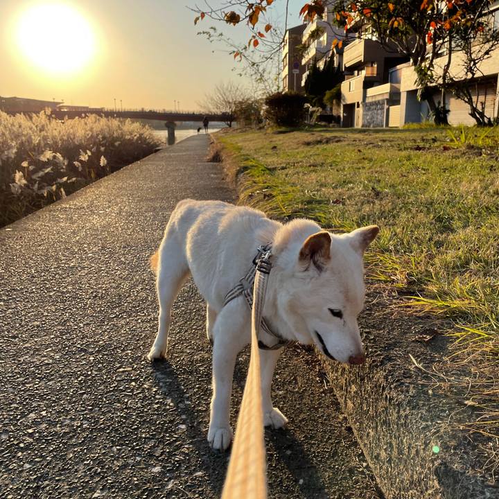 2312238f 22e6 4075 836d 39e82c0b7984 1637417460958