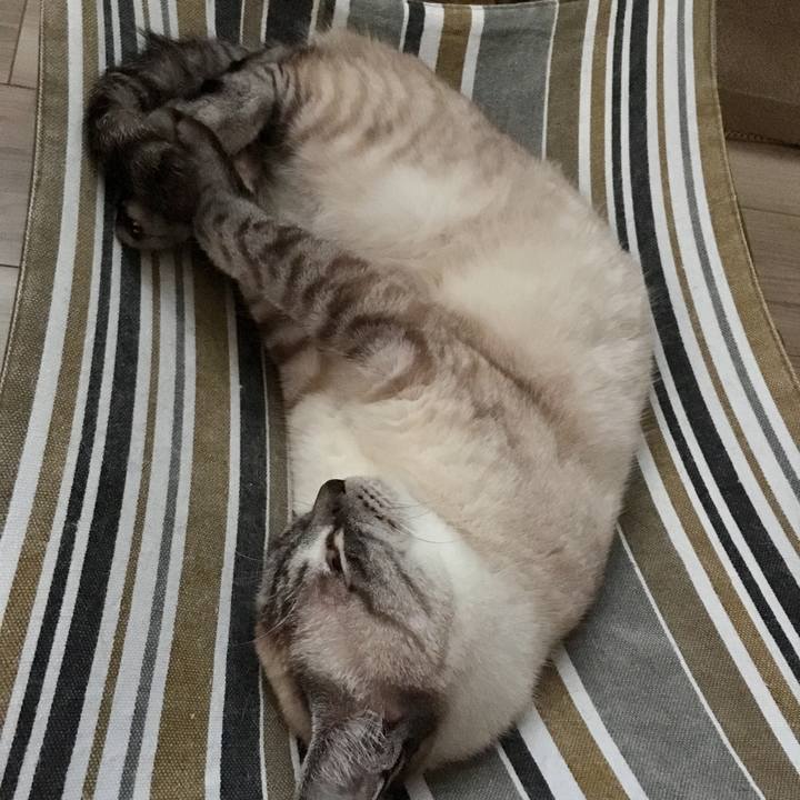 23126521 0426 4a23 9d29 fc41c5b40f9b 1593424311038