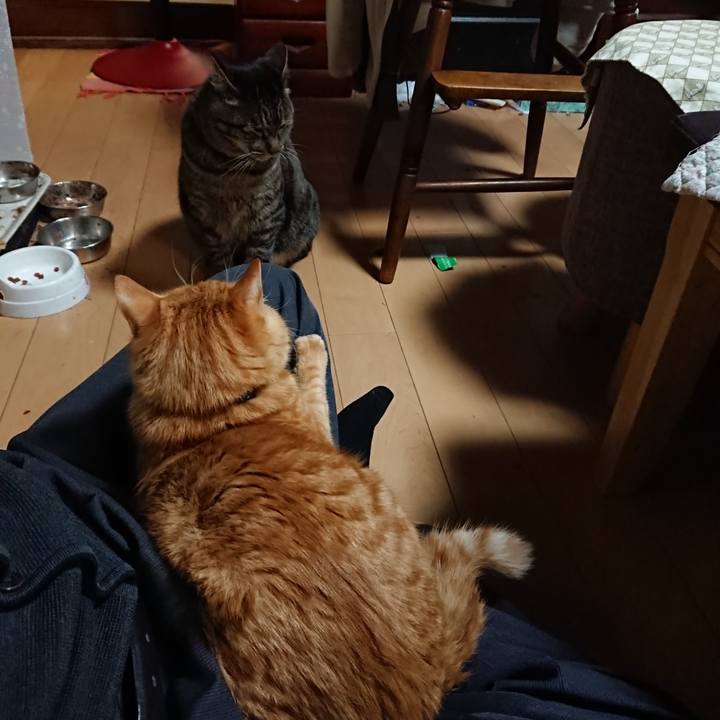 23129c91 54d9 434d 88c4 a1dfe89858cb 1641293466344