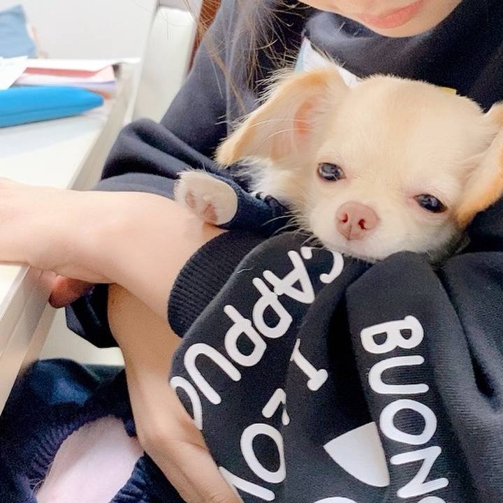 2312b8d3 35fa 4824 85aa b1c6034e1b03 1603362456911