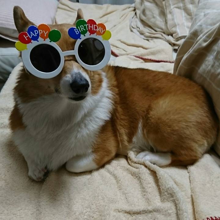 23132200 b0d4 45c4 990c 983a63ef072b 1551689783055