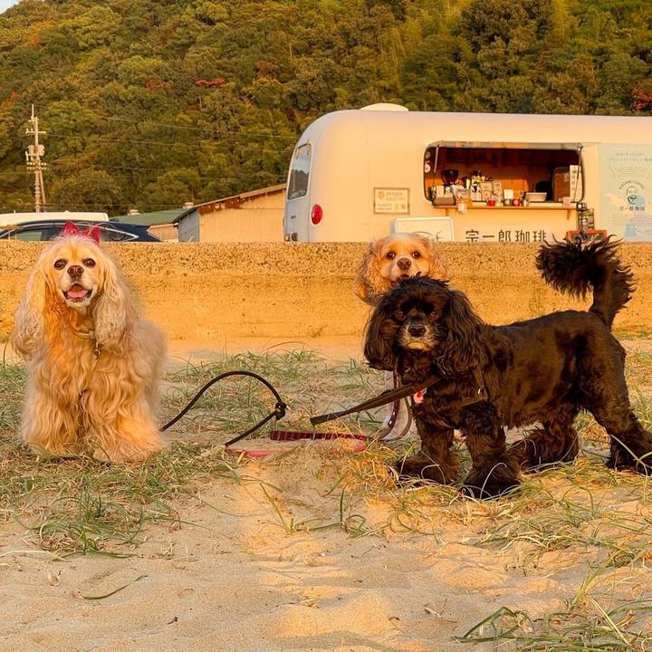 23134c50 7fc5 4cf6 adc0 4d44742b4e45 1697080386580