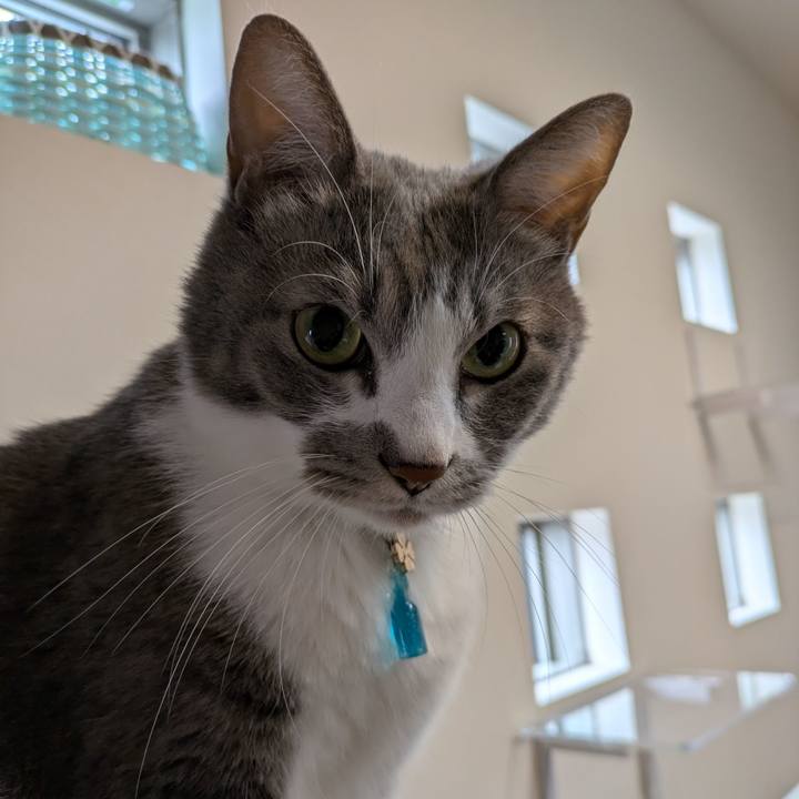 23134e0d 7518 4841 b146 e41ac8933a69 1731561674533