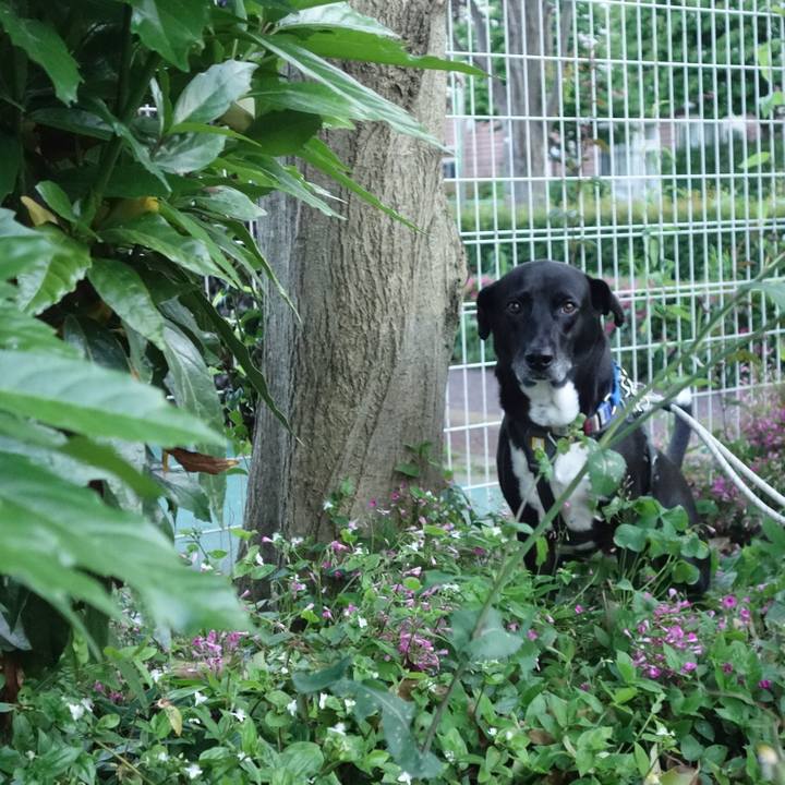 2313525e 3cbf 4ca0 b619 3cd3473d0153 1653476795414